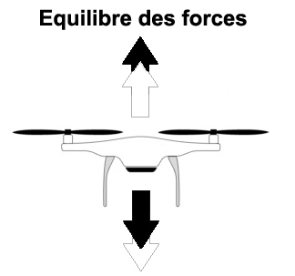 Equilibre_forces